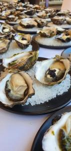 Trio of Oysters 